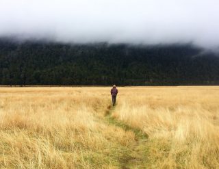A man is walking through a field in a cloudy day.